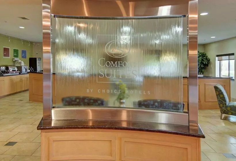 בית מלון כפרי Comfort Suites Lindale