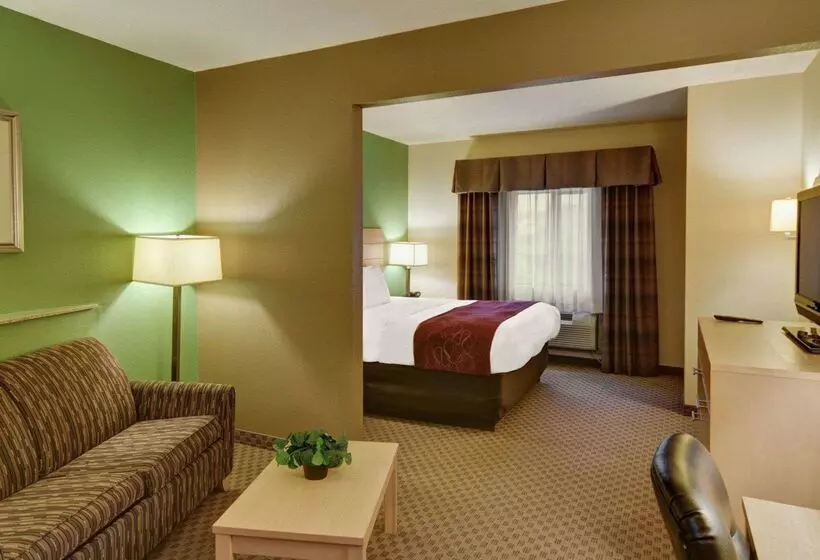 בית מלון כפרי Comfort Suites Lindale