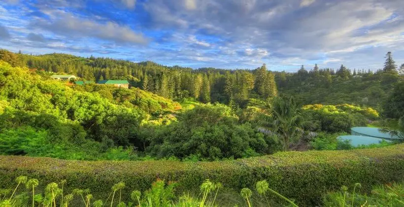 هتل Daydreamer Holiday Apartments