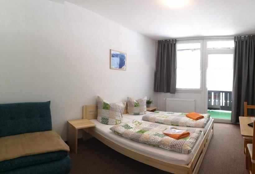 בית מלון כפרי Pension Bergfried