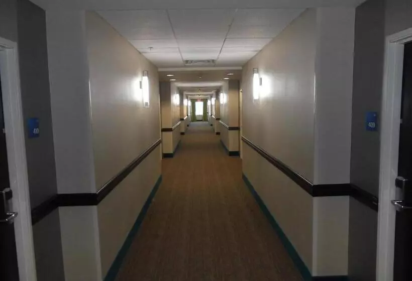 ホテル Holiday Inn Express & Suites Houston Northwest Brookhollow, An Ihg