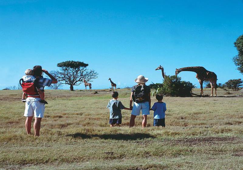 בית מלון כפרי Kariega Game Reserve - The Homestead