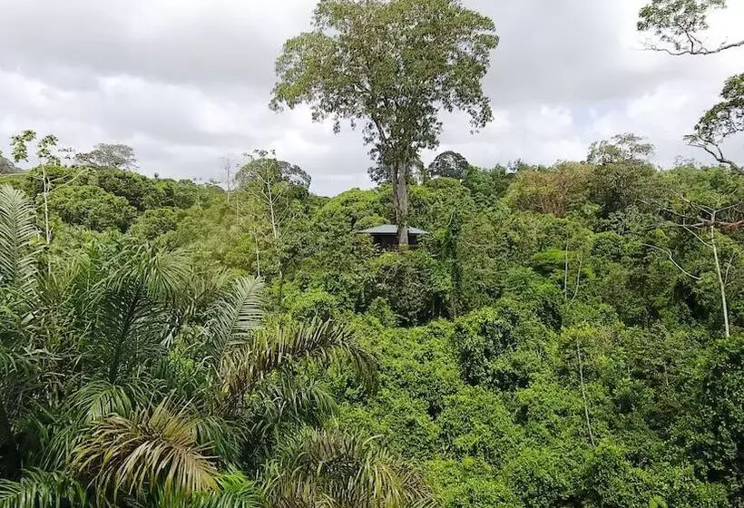 酒店 Maquenque Ecolodge