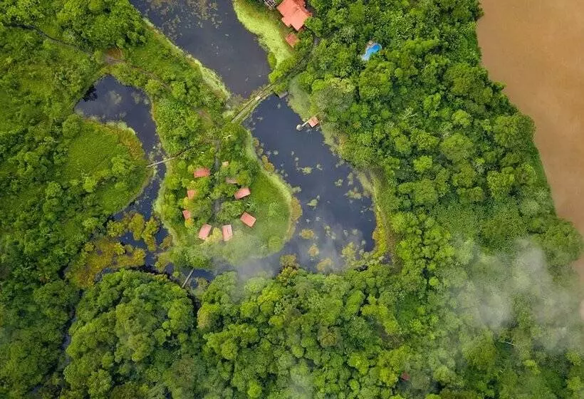 酒店 Maquenque Ecolodge