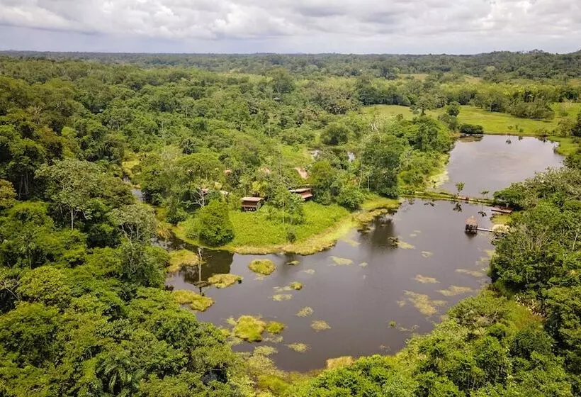 酒店 Maquenque Ecolodge