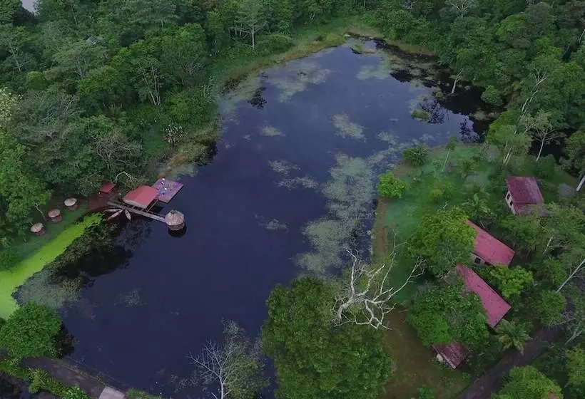 酒店 Maquenque Ecolodge