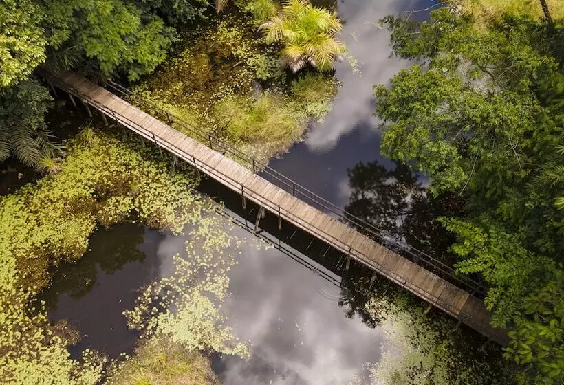 酒店 Maquenque Ecolodge