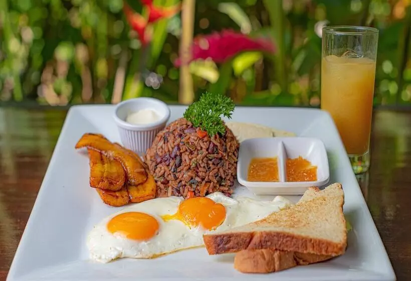 酒店 Maquenque Ecolodge