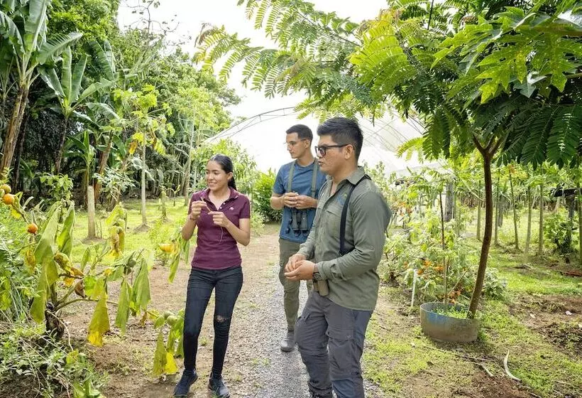 酒店 Maquenque Ecolodge