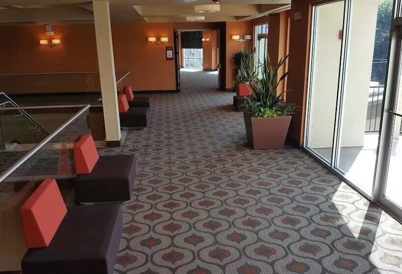 酒店 Sol Cypress, San Antonio, A Tribute Portfolio