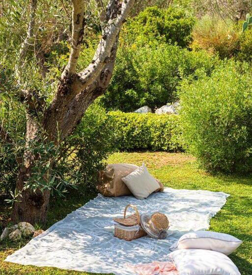 Marenea Suite Hotel Cdshotels