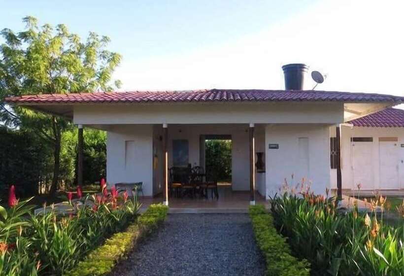 Отель Cabañas Polangy