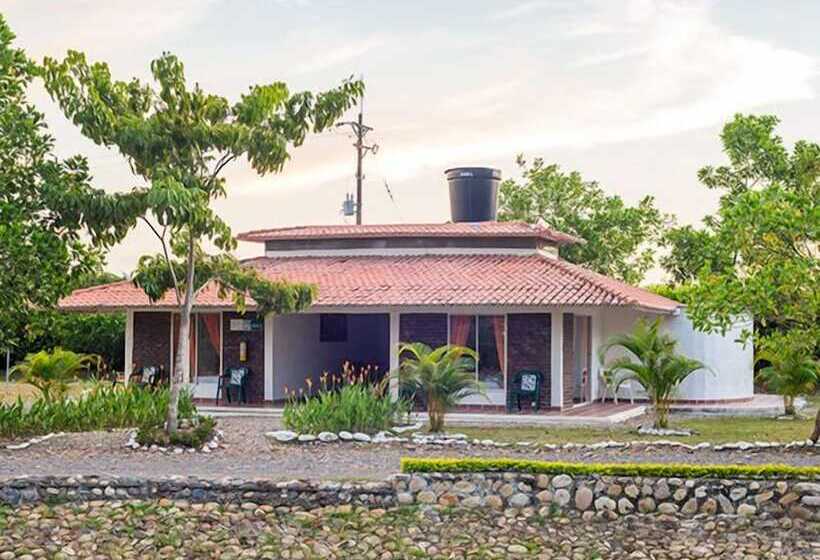 Отель Cabañas Polangy