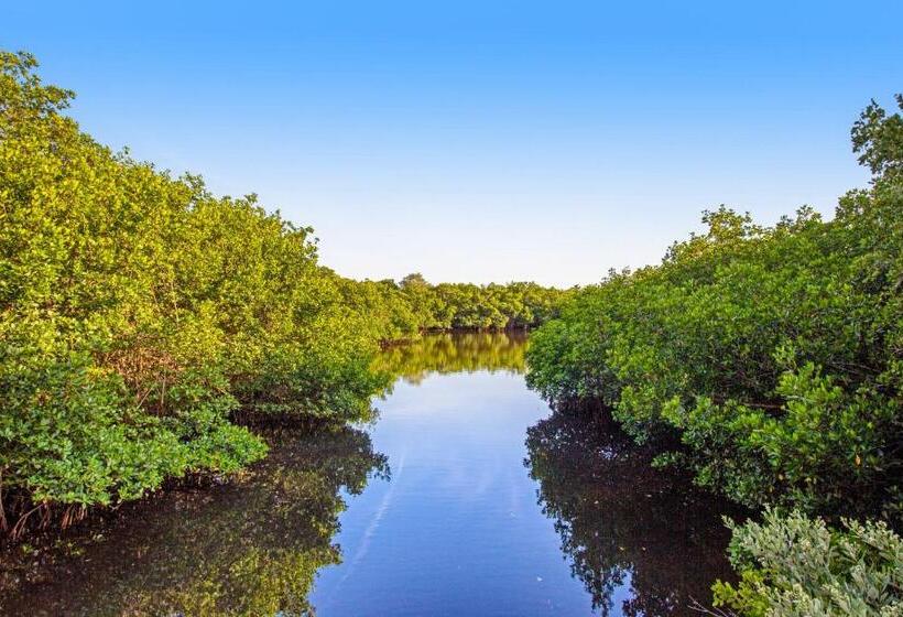 호텔 Latitude Adjustment