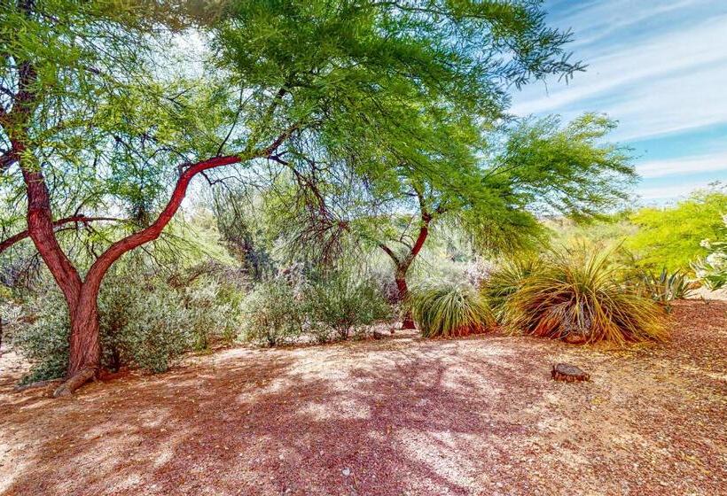 فندق Vistoso Resort Casita #165