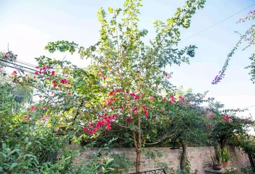 住宿加早餐 Susana Just Boutique