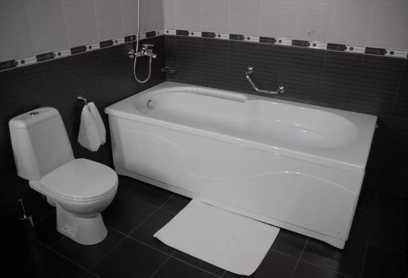 בית מלון כפרי Borika