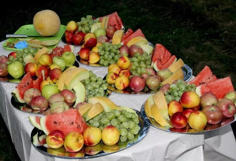 בית מלון כפרי Borika