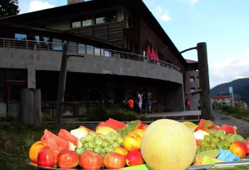 בית מלון כפרי Borika