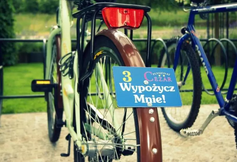 酒店 Pensjonat Cezar