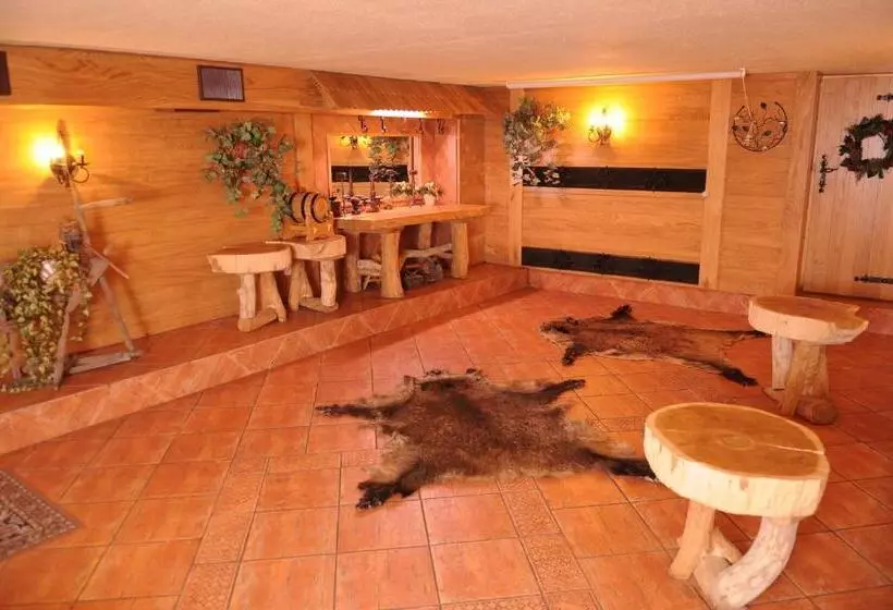 酒店 Pensjonat Cezar