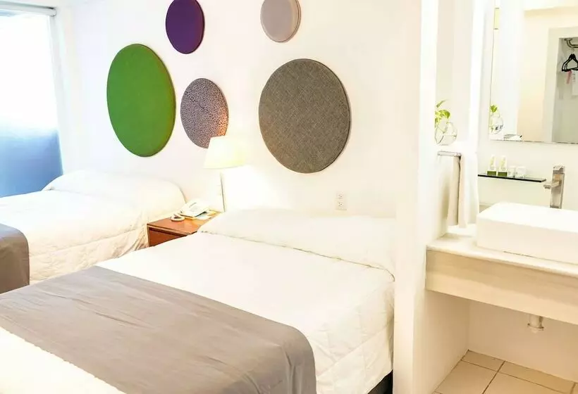 酒店 Tryp By Wyndham Chetumal