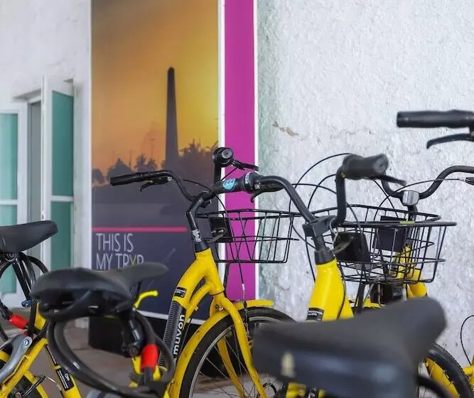 酒店 Tryp By Wyndham Chetumal