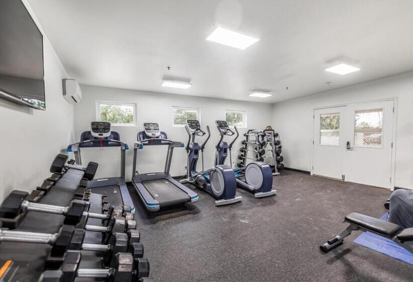 فندق Sunny Cozy Condo