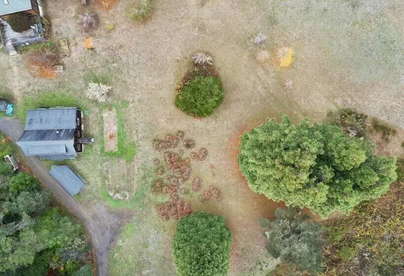 ホテル Meadow Redwoods