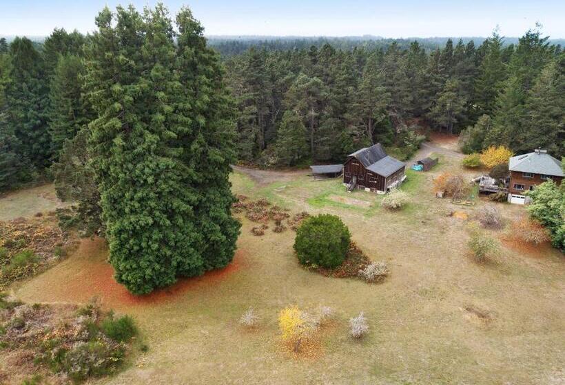فندق Meadow Redwoods