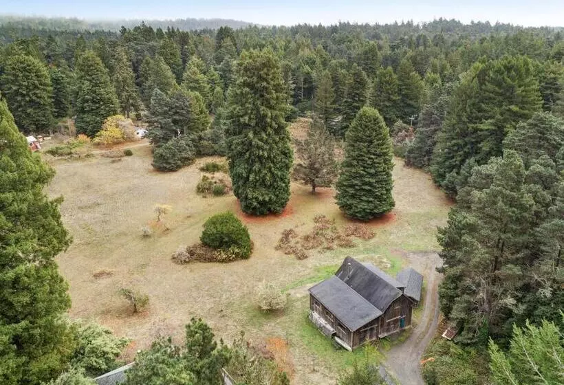 ホテル Meadow Redwoods