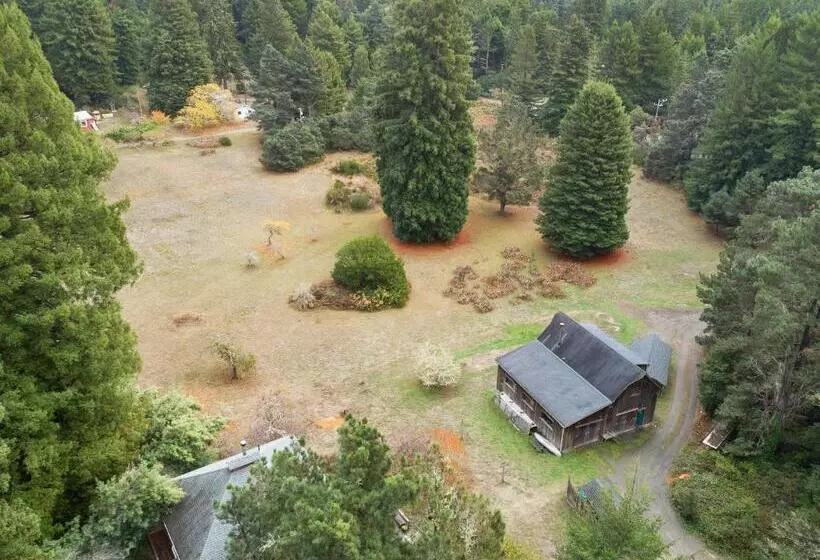 ホテル Meadow Redwoods