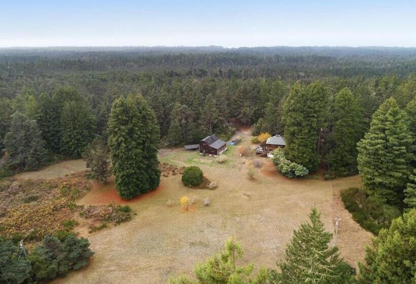 فندق Meadow Redwoods