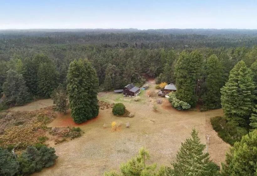 ホテル Meadow Redwoods