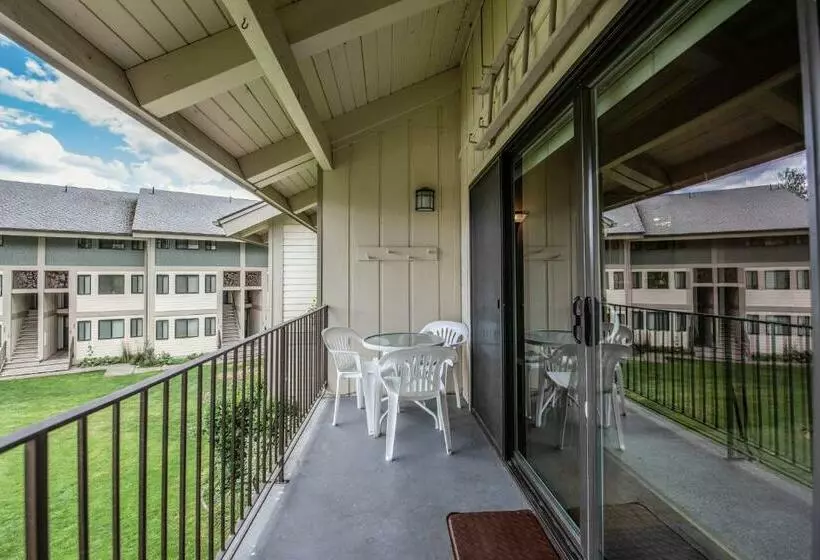 ホテル Condo Del Sol 210