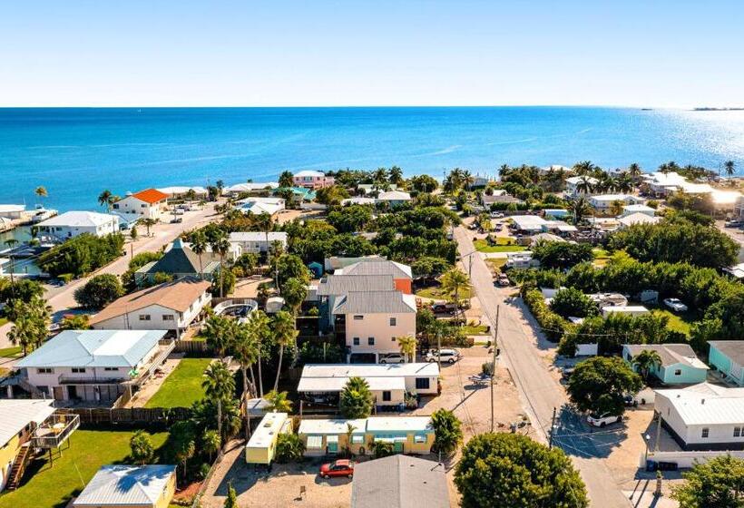 호텔 Gold Starfish