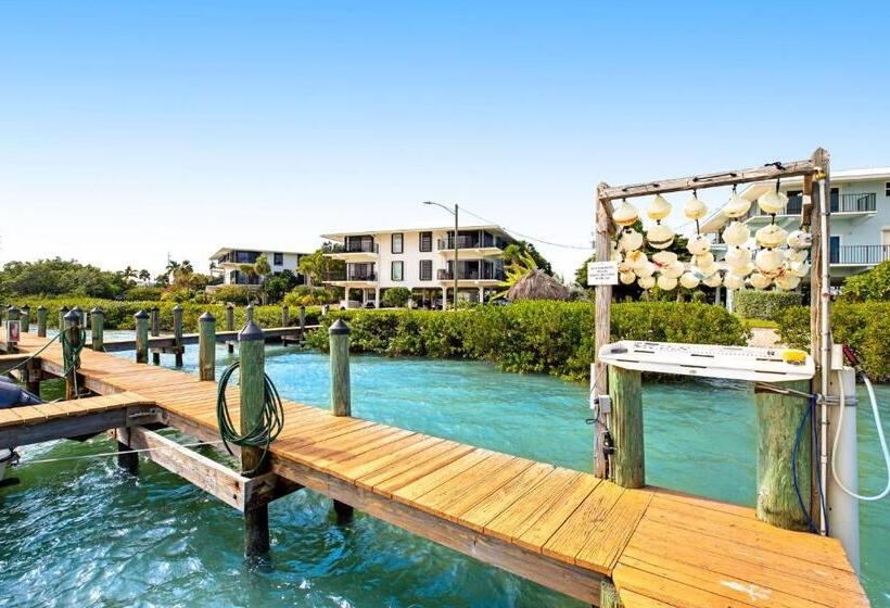 호텔 Gold Starfish