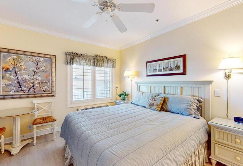 호텔 Pelican S Watch