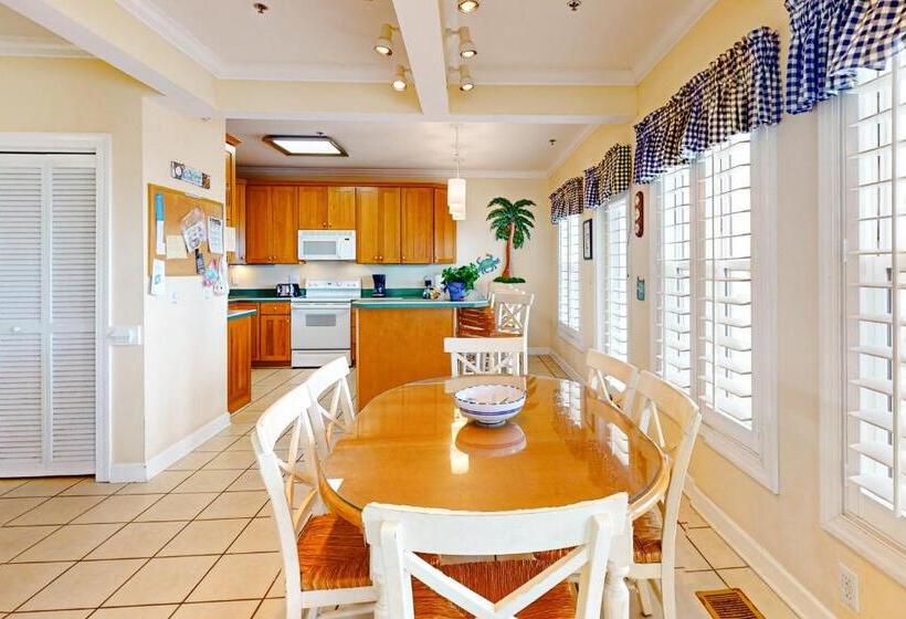 호텔 Pelican S Watch