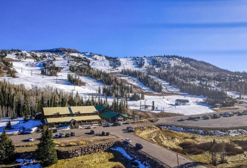 فندق The Mall #203