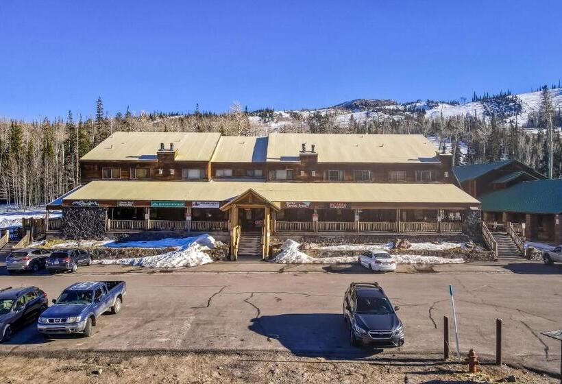 فندق The Mall #203