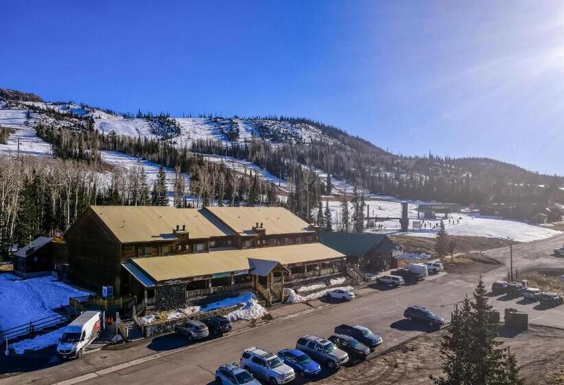 فندق The Mall #203