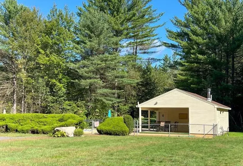 ホテル Cozy Conway Condo