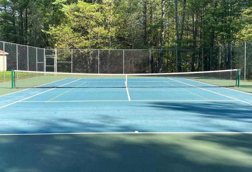 酒店 Cozy Conway Condo