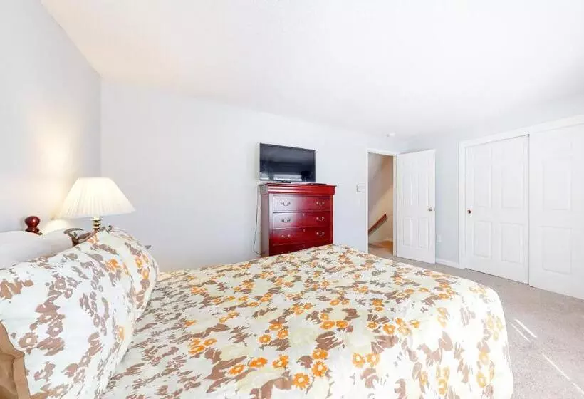 ホテル Cozy Conway Condo
