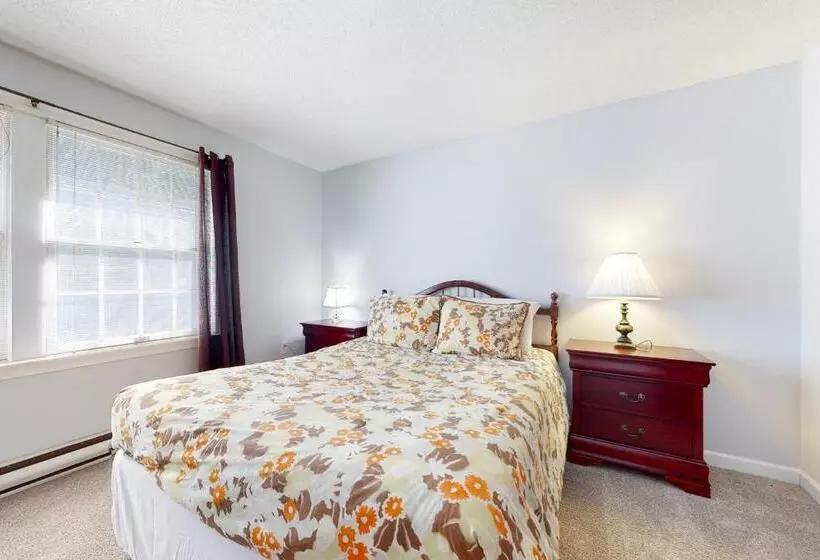 ホテル Cozy Conway Condo