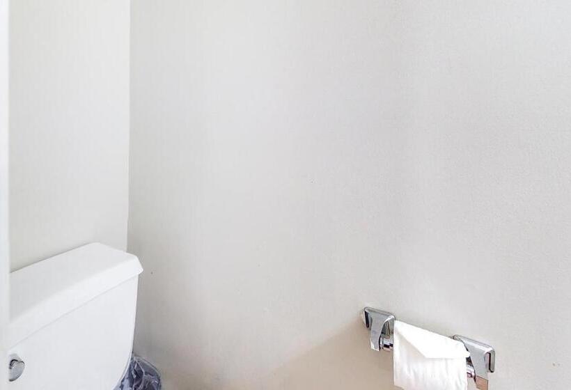 酒店 Cozy Conway Condo