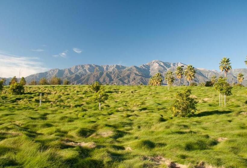 בית מלון כפרי Mountain Cove Country