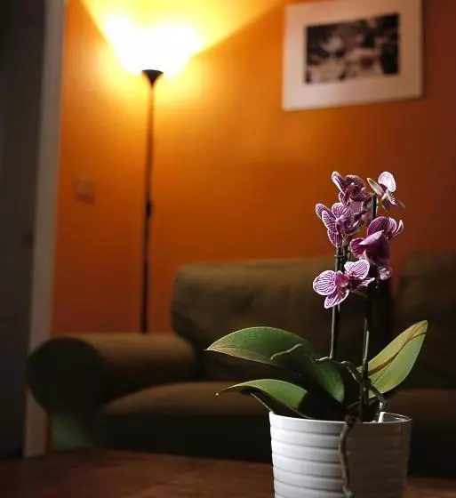 تختخواب و صبحانه Immagineazione Bed&Breakfast