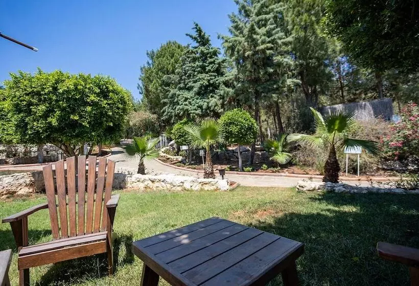 هتل Olbios Marina Resort